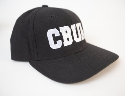 CBUA Fitted Umpire Hat