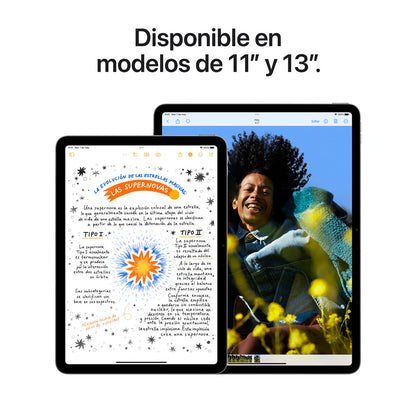 iPad Air de 13 pulgadas Wi-Fi 512 GB - Gris espacial (M2)